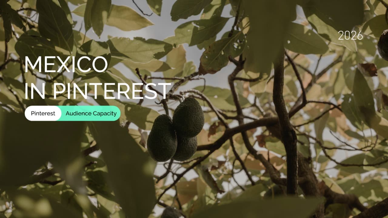 Mexico Pinterest Ad Audience Size by Demographics